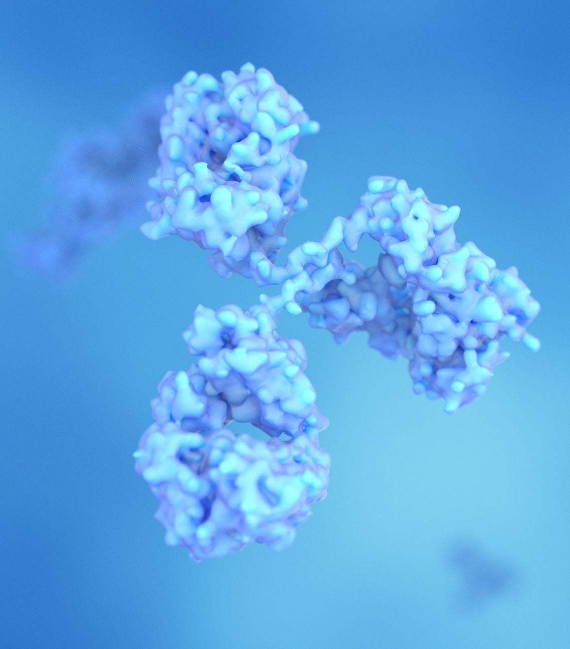 Immunoglobulins. Glycoprotein molecules produced by plasma cells (white blood cells)